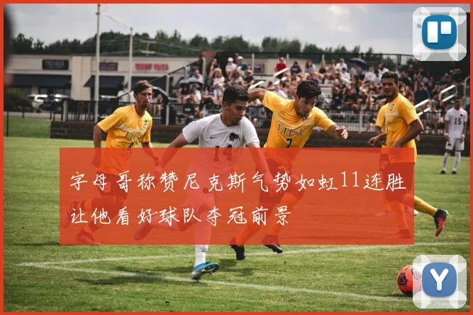 字母哥称赞尼克斯气势如虹11连胜让他看好球队夺冠前景